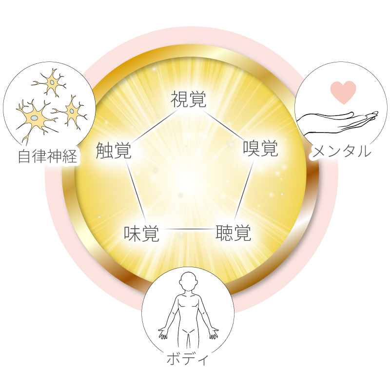 自律神経、身体、メンタルが連動しており、五感に働きかけて改善を目指すことを表した図